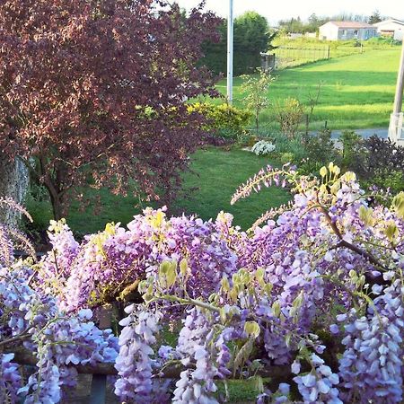 Les Glycines Bed & Breakfast Eymet Buitenkant foto