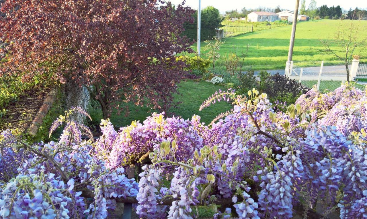Les Glycines Bed & Breakfast Eymet Buitenkant foto